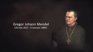 Gregor Mendel Through His Work On Pea Plants ExperimentMalayalam [upl. by Docilla10]