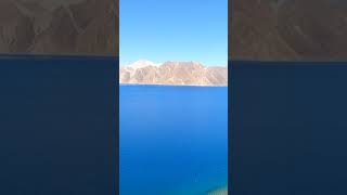 Pangong Lake Tour Info Essential Guide for Leh Ladakh 🌊 LadakhAdventure [upl. by Wehttan]