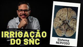 SISTEMA NERVOSO IRRIGAÇÃO DO SNC  AULA PRÁTICA [upl. by Eceryt]