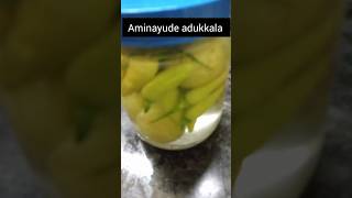 നെല്ലിക്ക കാന്താരി ഉപ്പിലിട്ടതsalted gooseberry [upl. by Asila324]