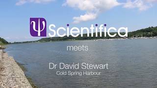 Scientifica Meets  Dr David Stewart [upl. by Nigam]