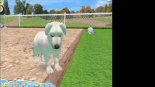 Dogz 2 PCGame [upl. by Lightfoot]