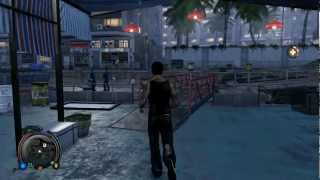 BRF  Sleeping Dogs 32 Special Request [upl. by Bornie]