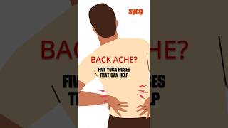 Yoga for Back Pain Simple Stretches yogaforbackpain backpainrelief yoga sivanandayoga [upl. by Saito599]