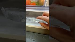 Iced Out Why You Should Think Twice Before Buying a Samsung Fridge Freezer [upl. by Repooc]