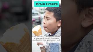 Why Do We Get Brain Freeze The Science Behind it shorts [upl. by Trevar]