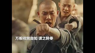 RESPECT🔥🔥 Shaolin in Real life [upl. by Euqram947]