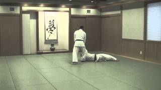 合気道 乱取基本の形17本③手首技 Tomiki Aikido Randori 17 Hon③Tekubi [upl. by Aiyotal]