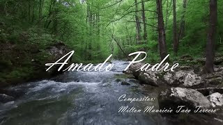 Jireh  Amado Padre  Lyrics Video [upl. by Salta682]