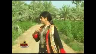 Noori Naz Dance in Nighat naz song Mele ja mor jani [upl. by Gnet972]