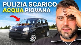 PULIZIA scarico ACQUA del cofano  Fiat Panda [upl. by Annoda]