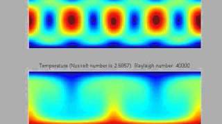 Rayleigh Benard Convection using a LB method on Matlab 02 [upl. by Melesa]