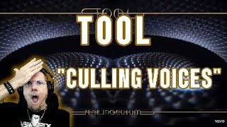 Tool quotCulling Voicesquot Reaction A nice slow burn [upl. by Bonita]