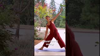 Optimize Alignment to Deepen Your Experience of Yoga [upl. by Levitus]