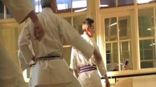 Shotokan Karate Documentary [upl. by Ahsiek]