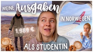 MEINE AUSGABEN IN NORWEGEN ALS STUDENTIN IM AUSLANDSSEMESTER  So viel Geld gebe ich zum Leben aus [upl. by Wester]