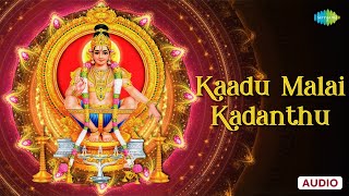 Kaadu Malai Kadanthu  Pallikattu Sabarimalaikku  K Veeramani  Ayyappan Songs Tamil [upl. by Tabby]