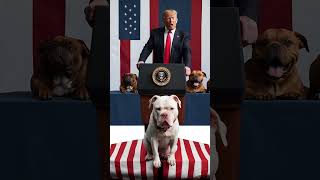 quotTrump’s Recipe for Economic Chaos Precepts Recepts and PetEatersquot shorts funny trump pets [upl. by Furlong]