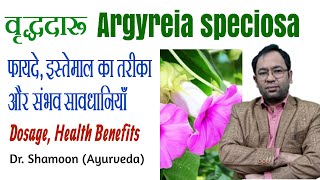 Vriddhadaru Argyreia speciosa health benefits in Hindi  Dr Shamoon [upl. by Sydelle793]