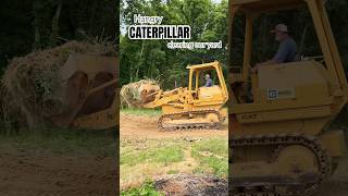 Hungry CATERPILLAR clearing our yard caterpillar track loader trackloader shorts satisfying [upl. by Balf]