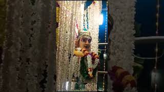 Mata Rani ka darbar sajayaChennai mein I aathi Puja chal raha hai [upl. by Misa]