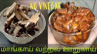 Mangai vatral oorukai recipe in tamilmango pickle from dry mango in tamilmango pickleNew Ways [upl. by Merth]