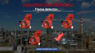 Industrial Gas Detection Supplier [upl. by Teyugn]