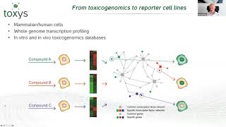 NAMs in genotoxicity amp mechanistic toxicity testing Safety assessment of novel chemicals May 2021 [upl. by Glennie]