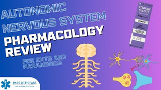 Autonomic Nervous System ANS Pharmacology  NREMT amp NCLEX Exam Prep [upl. by Liane]