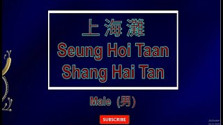 上海滩 【卡拉OK 男】Cantonese《KTV KARAOKE》  Shang Hai Tan Male [upl. by Artenahs]