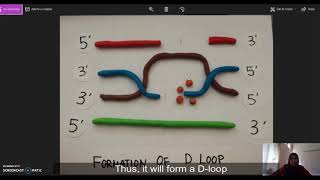 HOMOLOGOUS RECOMBINATION [upl. by Nosmoht]