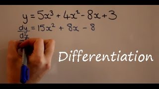 Differentiation [upl. by Airla862]