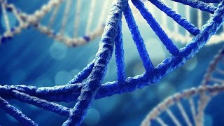 DNA Science  Human Race and Genetics Documentary [upl. by Vitale]