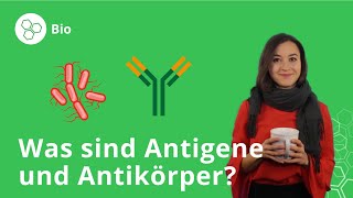 Antigene und Antikörper Was ist das und wozu braucht man sie – Biologie  Duden Learnattack [upl. by Llerrod]