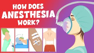 How does anesthesia work  Types of anesthesia  Video for Kids  Learning Junction [upl. by Cirde]