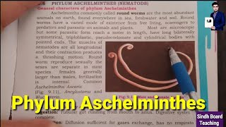 Phylum Aschelminthes XI Biology [upl. by Close673]