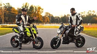 Honda Grom vs Kawasaki Z125 Whats the difference [upl. by Cherie]