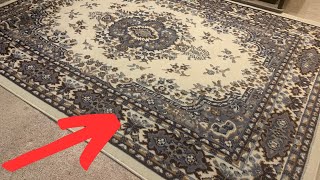 My Only Issue With the Home Dynamix Area Rug [upl. by Eniagrom]