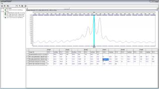 Fragile X Analysis Using GeneMarker® Software [upl. by Kolk]