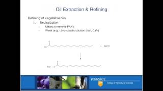 Refining FoodGrade Oil [upl. by Silverts]