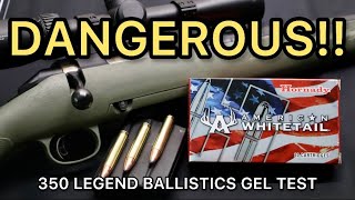 DANGEROUS LEGEND 350 Legend Hornady American Whitetail 170gr Ammo Test [upl. by Kcarb375]