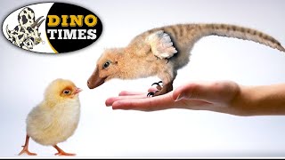 What is the Chickenosaurus Dino Times [upl. by Irneh832]