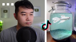 TikToks BETTA FISH Jars are CRAZY  Fish Tank Review 230 [upl. by Eniamor238]