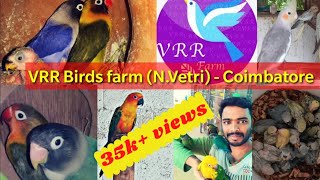 VRR Birds farm in coimbatore birds farm best birds farm in cbeEn ezhilagamVRR1 [upl. by Vins]