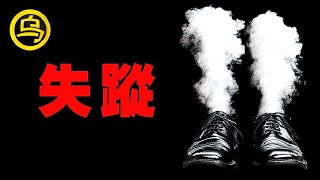 千里寻情夫，却人间蒸发，现实比电影更猎奇！她们究竟去了哪里？1小时中间无广告催眠合集，失踪案特辑 脑洞乌托邦  小乌副频道  小乌 TV [upl. by Therine219]