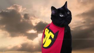 Super Hero Cat Official Music Video  N2 the Talking Cat S2 Ep18 [upl. by Adai]