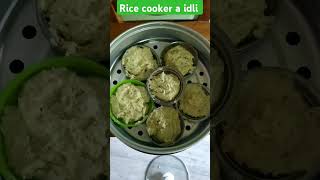 rice cooker a idli making livingwithmrinmoy shortsfeed rice idli southindianfood kolkata food [upl. by Aiynot]