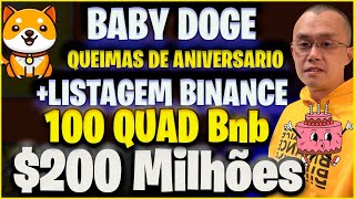 BABY DOGE COIN HOJE 200 milhoes QUEIMAS 100 Q REDE BINANCE ANIVERSARIO SERA [upl. by Vanni]