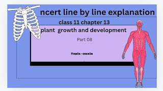 auxins ncert line by line explanation [upl. by Timofei]