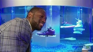 Dwyane Wades Sneaker Tank  Tanked [upl. by Asilem]